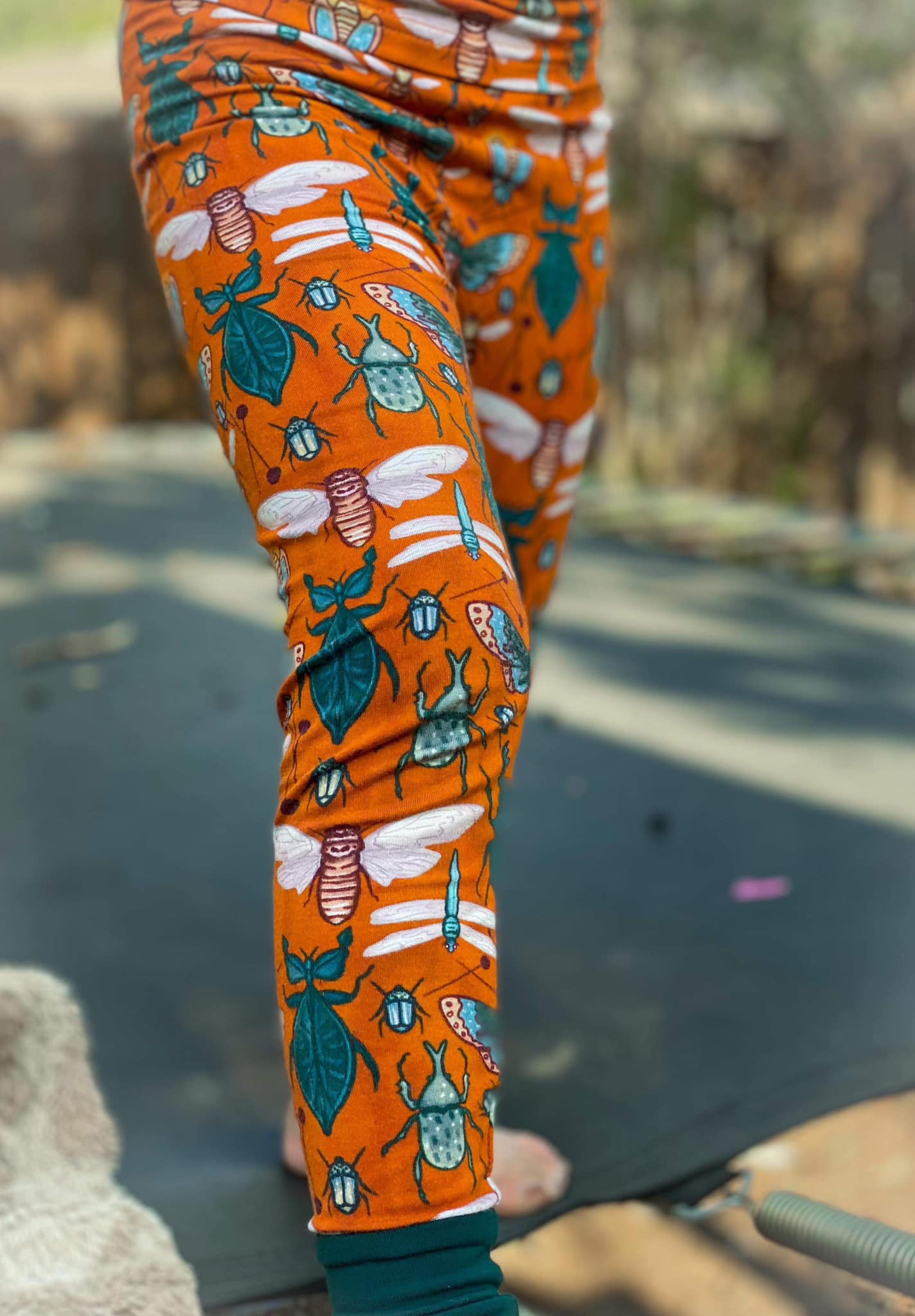 Ready to Ship Magical Bugs + Nature Lovers two piece bamboo set! Oddities + Science